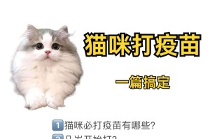 小猫打完疫苗需要观察多久？（了解小猫打完疫苗后的观察时间和注意事项。）