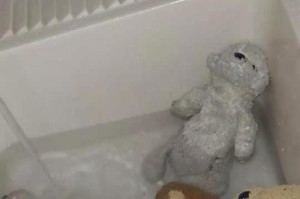 让宠物狗狗爱上洗澡的秘诀（如何让狗狗顺利洗澡？宠物主人必知的15个技巧）