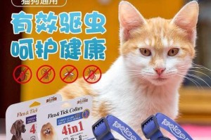 如何有效除去猫咪身上的跳蚤虱子（宠物健康必备技能，分享除虫经验）