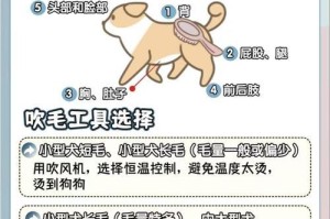 小狗洗澡的最佳时机（掌握洗澡频率，打造干净可爱宠物）