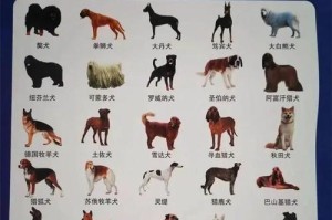 城市禁养7种狗，你中招了没？（以这7种狗为主题，探讨城市禁养政策的影响与应对措施）