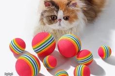 探索猫玩具的世界（寻找最佳品牌，给猫咪带来乐趣与活力）