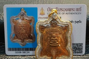 科西嘉岛野兔的饲养技巧（如何科学养殖野生动物）