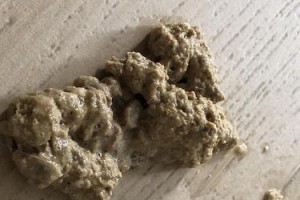 猫咪为何突然吐猫粮并失去精神？（探究猫咪吐猫粮的原因及对应的治疗方案）