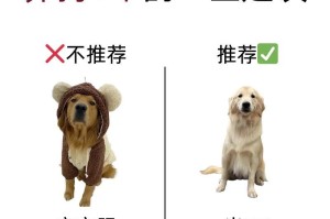 狗狗皮肤病的传播途径及预防措施（深入了解狗狗皮肤病的传播途径和如何预防）