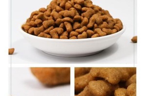 金毛成年犬的合适喂食量（了解金毛成年犬的饮食需求，健康呵护至关重要）