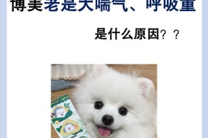 小狗喘粗气的原因及处理方法（探究小狗喘粗气的原因，帮助主人正确处理）