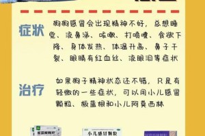 狗狗发烧症状及原因分析（狗狗发烧的常见症状及可能原因，帮助您及时发现和处理）