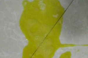 神奇的狗狗吐水（揭秘狗狗吐水的原因与解决方法）