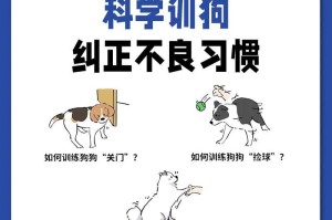 如何训练狗狗靠什么？（探索最有效的训练方法和技巧）