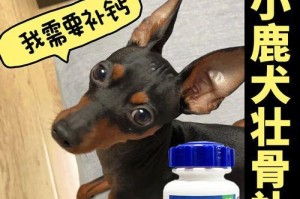 选择适合狗狗的钙片品牌，让它健康成长（了解狗狗所需的钙片品牌及其）