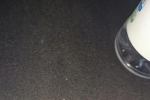 小猫的健康需除虫（为了宠物猫咪的健康，我们需要除虫！）