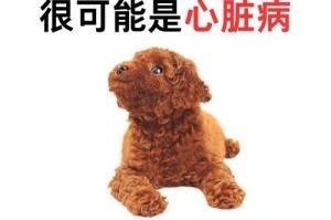 小狗持续咳嗽呕吐可能的原因（了解小狗咳嗽呕吐的常见病因及处理方法）