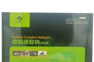 狗狗药物注射注意事项（以宠物为主，安全第一）