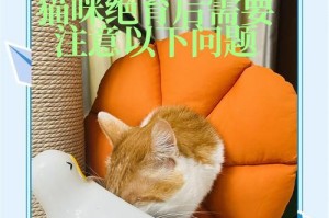 母猫绝育后何时恢复正常饮食？（探讨母猫绝育手术后饮食恢复的时间和注意事项）