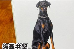 揭秘狗狗吃纸的六大原因（解读狗狗为何喜欢吃纸，如何避免这个行为）