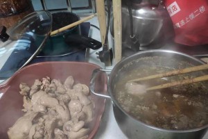 猫补血的最佳食物选择（为你的猫提供营养丰富的饮食）