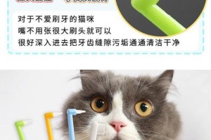 猫的口腔健康（探讨猫刷牙的频率和技巧）