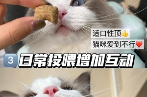 猫咪产后排便时间及注意事项（揭秘猫咪生产后排便的奥秘，为您的爱宠提供周到的照顾）