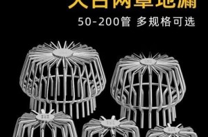 屋顶鼠的饲养指南（如何在家中饲养可爱的屋顶鼠？）