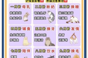 猫咪的繁殖周期及生育频率（了解猫咪的繁殖规律，掌握合适的繁殖时间）