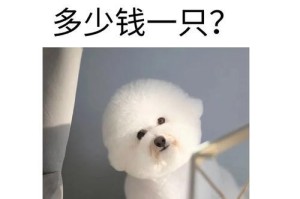 比熊犬的价格一般在多少？（了解比熊犬市场价格及其影响因素）