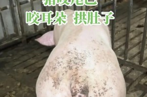 狗狗为什么爱喝脏水（探究狗狗喜欢喝脏水的原因与影响）