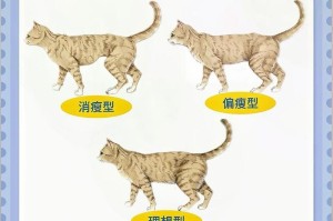 猫咪生产前的表现（了解猫咪的身体语言和行为迹象）