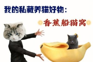 猫咪的健康饮食指南（养身体吃什么好，这些食物让你的猫咪保持健康）