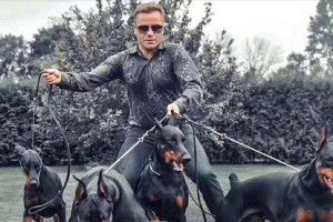 如何养护杜宾犬？（掌握这些技巧，让你的杜宾犬健康快乐成长）