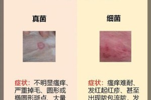 揭秘狗狗身上的皮屑之谜（探究狗狗皮屑成因及预防方法）