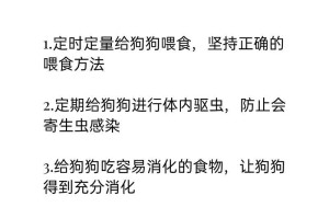 狗消化不良的食物选择与调理（饮食调理是关键，快速缓解狗狗消化不良的症状）