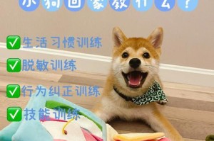 养狗宝宝需要购买什么？（打造舒适的狗狗生活环境，让他们快乐成长）
