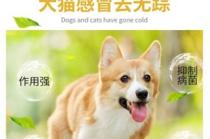 小狗咳嗽流鼻涕的原因及治疗方法（探索小狗咳嗽流鼻涕的病因和使用药物治疗的有效方法）