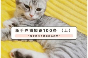 奶猫喂养指南（细心呵护未满40天的奶猫，健康成长）