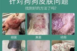 以狗藓用什么药治疗？（狗藓治疗药物的选择和注意事项）