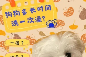 狗狗的洗澡频率问题解析（以2个月的狗多久洗一次澡为例，为你解答最佳洗澡频率）