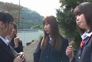 探秘博美公狗的发情期（如何应对和管理博美公狗的发情期变化）