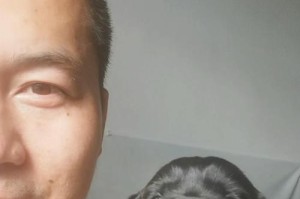 拉布拉多的养育之道（了解拉布拉多的养育要点，掌握养育开销及关键因素）