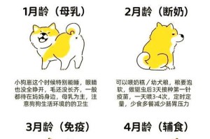 狗狗断奶的正确方法（如何逐步将狗狗从母乳转为固体食物）