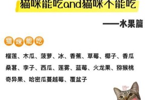 猫咪的饮食习惯及每日进食频率（探讨猫咪饮食的时间间隔和适宜食物）