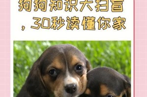 用狗语与肢体动作读懂你的狗狗（解密狗狗的心声，建立更深入的沟通）