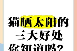 小猫需要多久的太阳光照？（探讨小猫晒太阳的时间和效益）