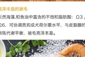 贵宾犬的合理饲养之道（了解贵宾犬的日常饮食需求，让你的犬宠健康快乐）
