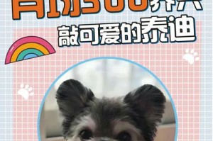 低成本养狗攻略（经济实惠的养狗技巧，让您以最低的成本拥有一只快乐的狗狗）
