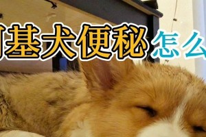 小狗便秘怎么办？（以宠物为主，教你轻松解决小狗便秘问题）