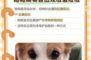 过年期间狗狗畏惧鞭炮易产生应激反应的准备工作（提前做好准备，让狗狗度过安静祥和的春节）