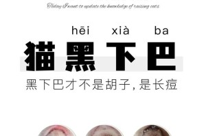 小猫咪不吃东西怎么办？（探讨宠物饮食健康问题，教你调理小猫咪的食欲）