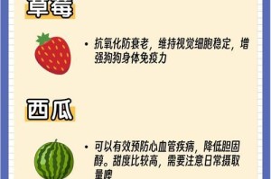 营养均衡的饮食如何提高狗皮肤的抵抗力（探究狗狗的食物与皮肤健康的密切关系）