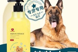 边牧身上有螨虫怎么办？（宠物健康保障｜如何预防及治疗边牧身上的螨虫？）